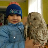 Знакомство с пернатыми